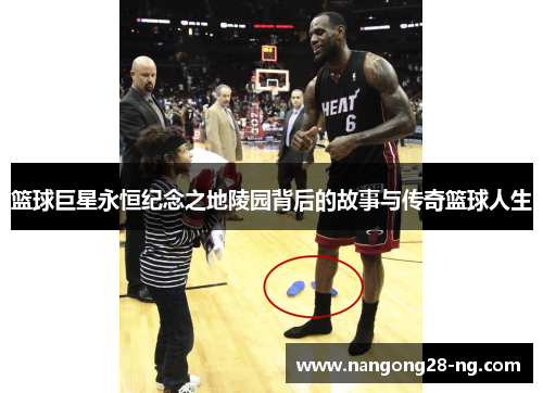 篮球巨星永恒纪念之地陵园背后的故事与传奇篮球人生